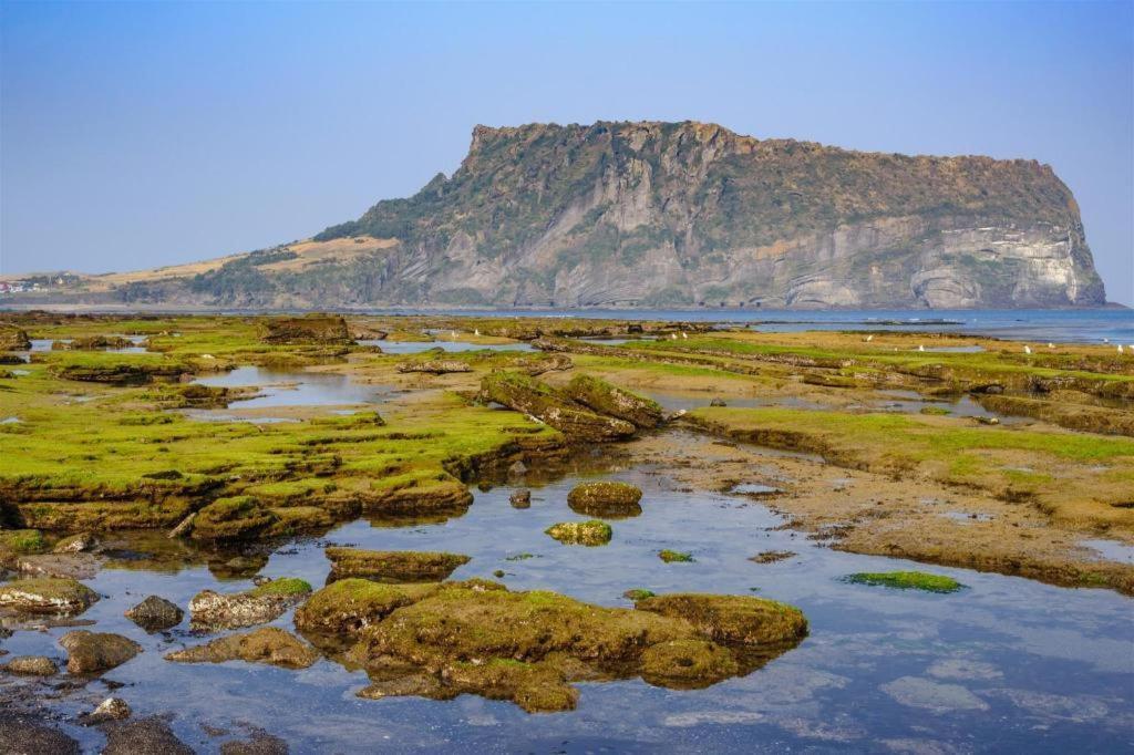 Hotel Aroha Jeju Sogüpcho Exteriér fotografie